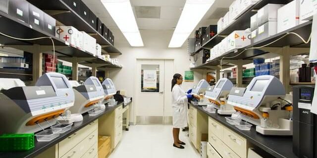 Lab